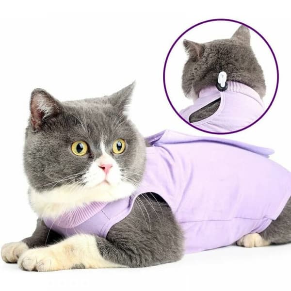 Kattens restitusjonsdrakt, pustende modalt stoff med trykknapper, postoperativ beskyttelse for katter, lilla, medium, 2-4 kg