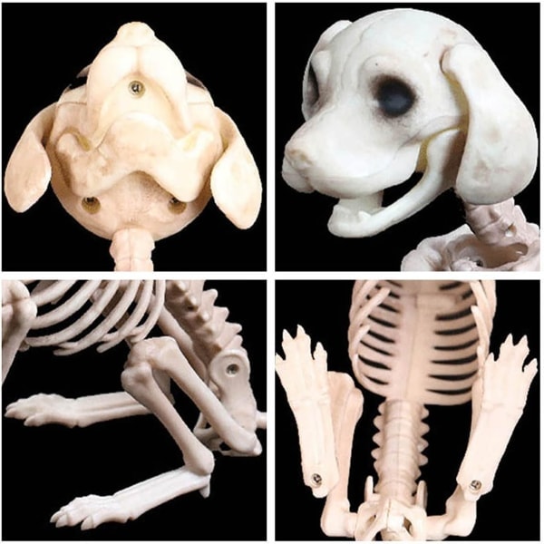 IC Halloween dekoration, Halloween skelet hvalp, mini puddelhund skelet hundeben til hallowmas dekoration Spøgelseshus fest