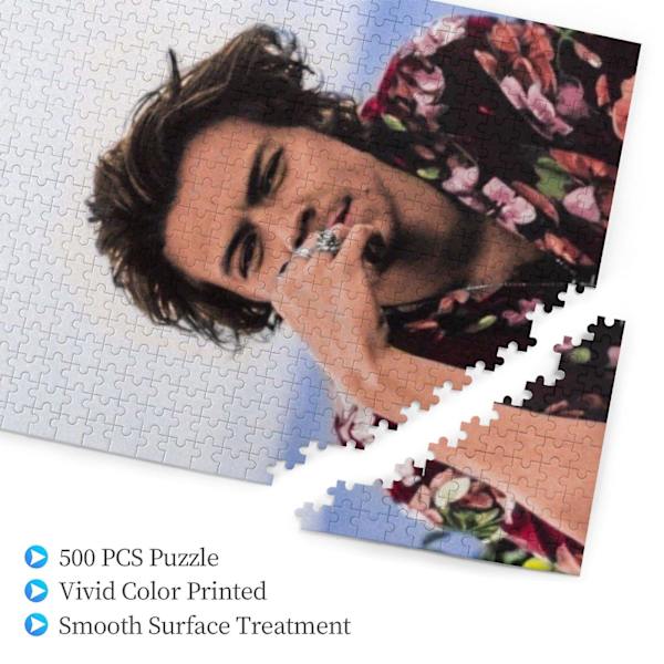 Harry-Styles (1) 500 brikker puslespil til voksne og børn til drenge piger puslespil entusiaster-EK552