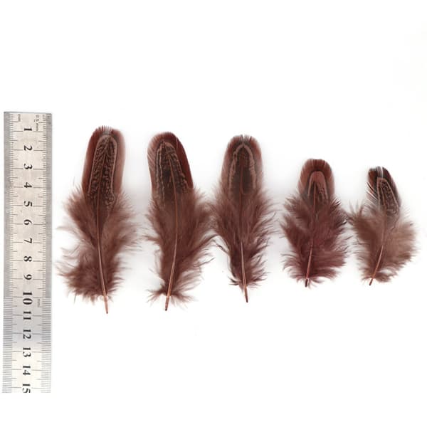 100 stk. Fasanfjer Blå