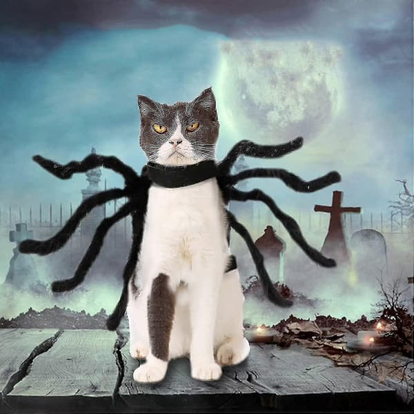 Halloween Justerbart Hunde- og Kattekostyme Edderkopp Realistisk Plysjedderkopp