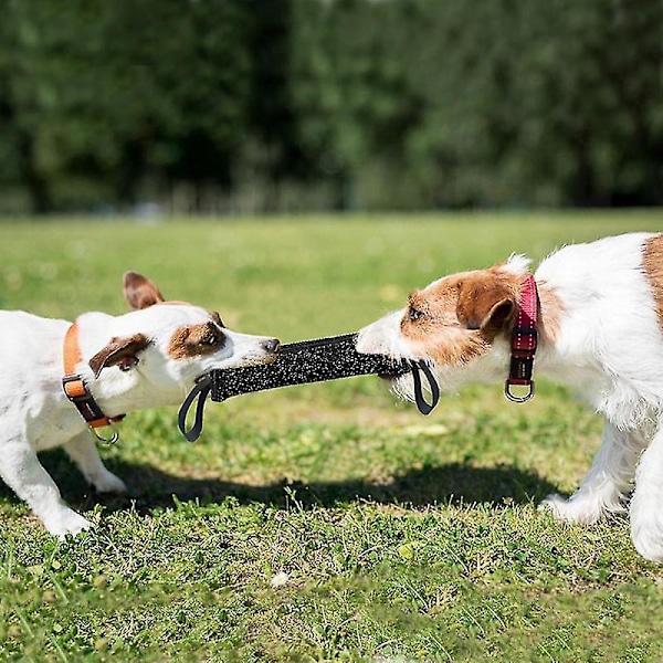 2 Handtag Husdjursträning Bite Tug Leksaker Ung Hund Tugga Armärm