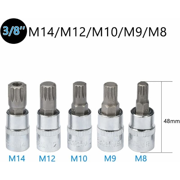 10 st M4 - M18 Torx Spline Bit Hylsnyckelsats - Trippel Fyrkant Hylsnyckelsats med Förvaringslåda