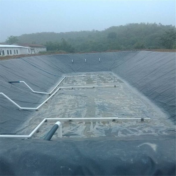 HDPE-lammikkokangas - 3m x 3m - Musta - Kalalammikoille, puroille, suihkulähteille ja vesipuutarhoille - DEBUNS