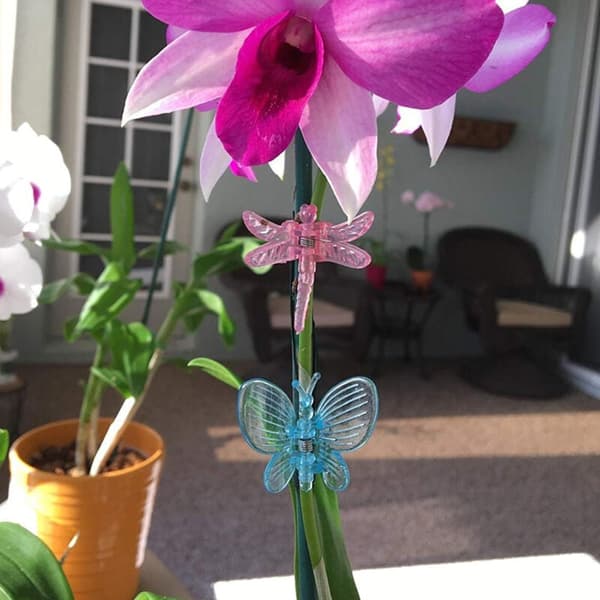 30 st Trollsländeorkidéklämmor Plast Trädgårdsväxtstödklämmor Blomsterväxtklämmor, DUBUNS