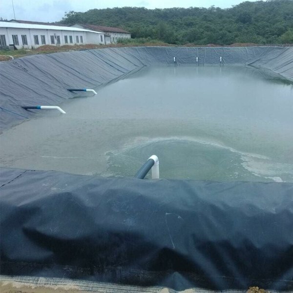 HDPE-lammikkokangas - 3m x 3m - Musta - Kalalammikoille, puroille, suihkulähteille ja vesipuutarhoille - DEBUNS