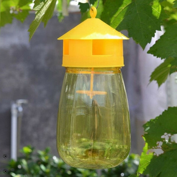 IC Fälla Fruktställning Melon Frukt Insekter Fruktfluga Bi Armyworm Kl Gul