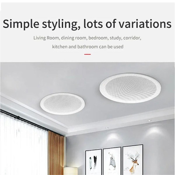 Inbyggd förstärkare Full Range Bluetooth-bakstycke Hemmabio Bakgrundsmusik Takhögtalare(a)