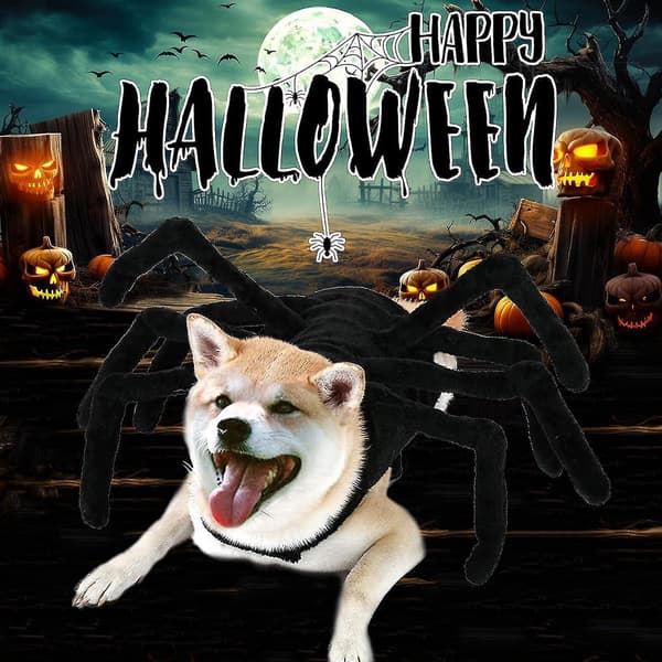 Halloween Edderkop Hundekostume til Hunde og Katte XL