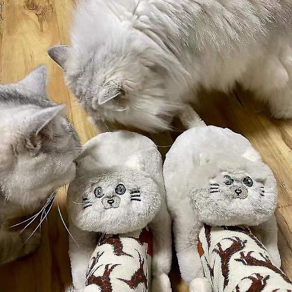 Damtofflor i plysch katt, tofflor för par, Mjuka Anti-Slip Blå Grå Grey 34