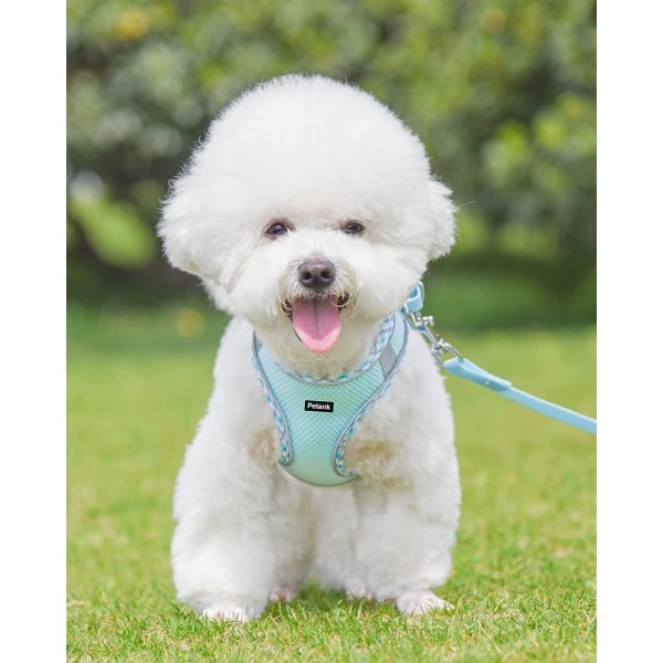 IC Hundesele for små og mellomstore hunder uten trekk, valpesele og sett, Easy Walk hundesele for gåturer, løping (lyseblå, L)