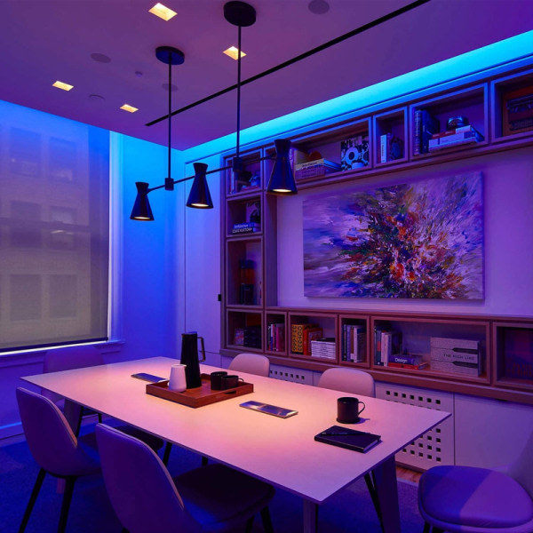 IC LED-slinga 5M, RGB LED-slinga, SMD 5050 Ljusslinga, Färgskiftande LED-ljusslinga