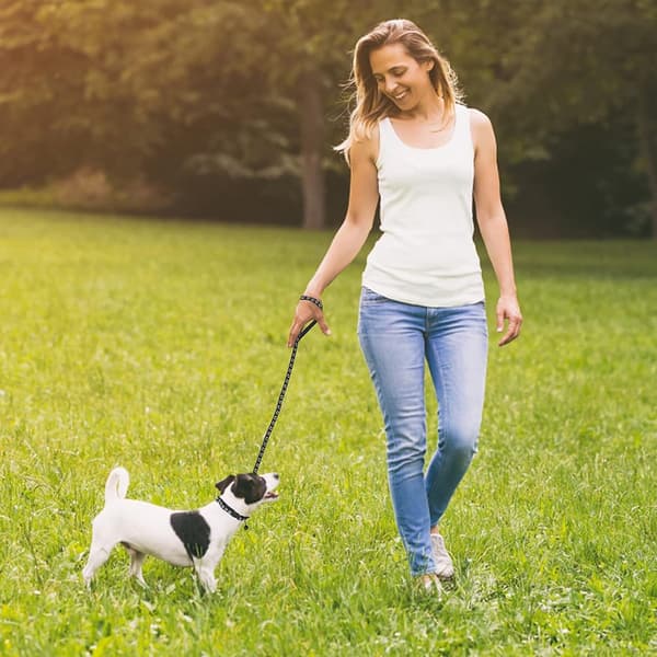 2-pak justerbare hundehalsbånd med snore, quick-release spænder og potetryk til små hunde, katte og killinger, sort/brun