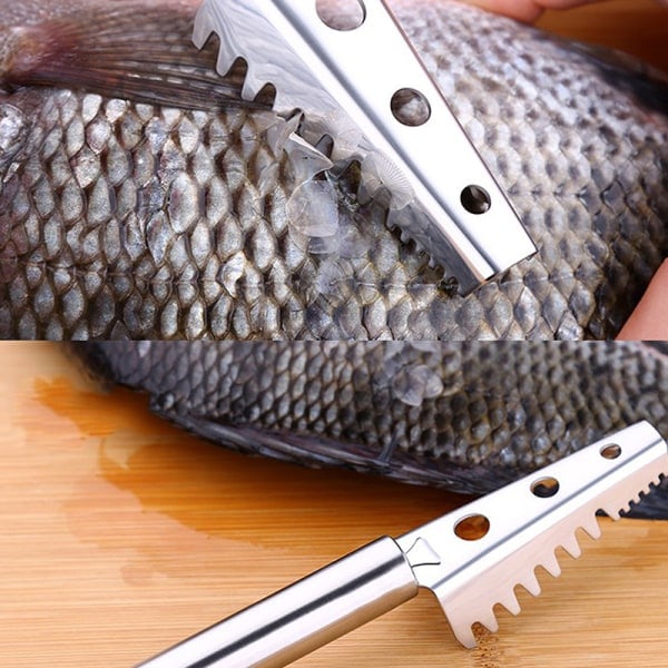 IC Rustfritt stål Fiskeskjellfjerner Håndholdt Rengjøringsskrape for Sjømat
