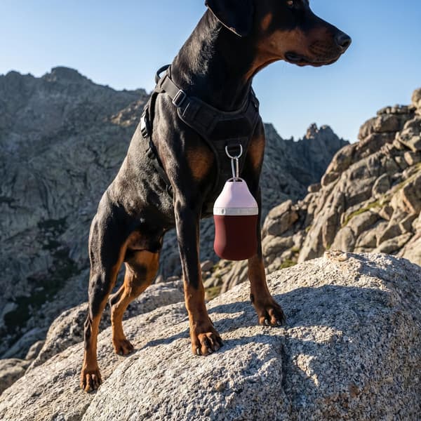 Bærbar vandflaske til kæledyr, lækagesikker hunderejsedispenser til gåture og vandreture, 400 ml (blå) L-Water Drop Bottle Graphite Blue