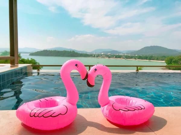 Kopholder | swimmingpool | oppustelig | 3 stk | flamingo