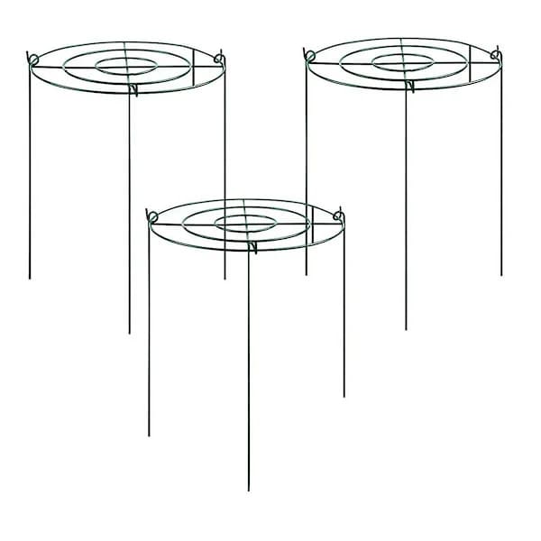 3 set pionstöd, växtstöd med bågar och galler med 4 ben, växtstöd, blomstöd-XF12-