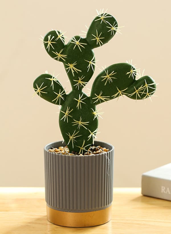 Tekokaktus Cactus Creativ vihreä 22-28cm 1 setti