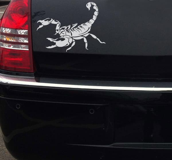 Mustavalkoiset autotarrat, puskuritarrat