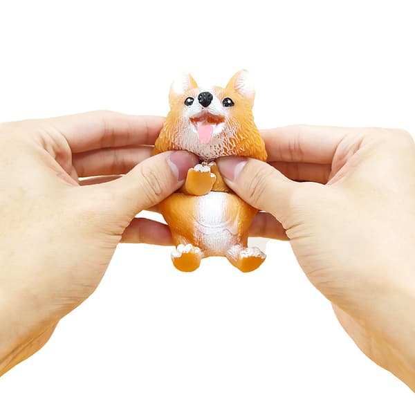 Corgi Lala dekompresjonshund, dekompresjon mops-racket, søt valp