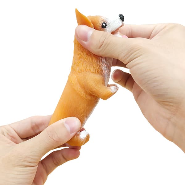 Corgi Lala dekompresjonshund, dekompresjon mops-racket, søt valp