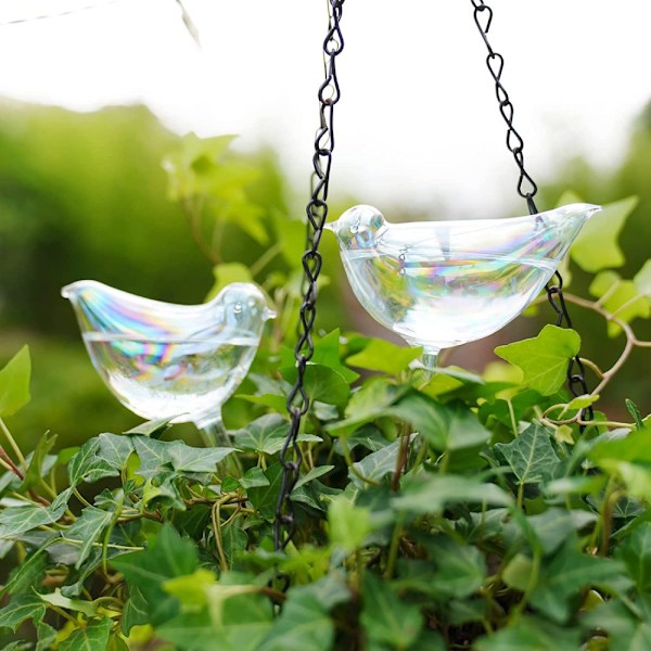 Självbevattnande Glober för Växter, Perfekt för Semestern, Tidsbesparande Automatisk Bevattning, Glasbevattningskulor med Klar Design, Lätta att Använda för Inomhus &