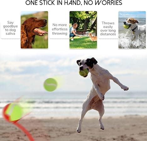 Hundeboldkaster, Hundeboldkaster, Hundetennisboldkaster, D