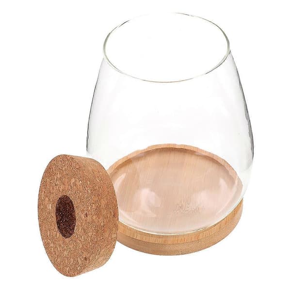 1 Set Växtterrarium Hydroponisk Växtkruka DIY Landskapsflaska Skrivbordsväxthållare