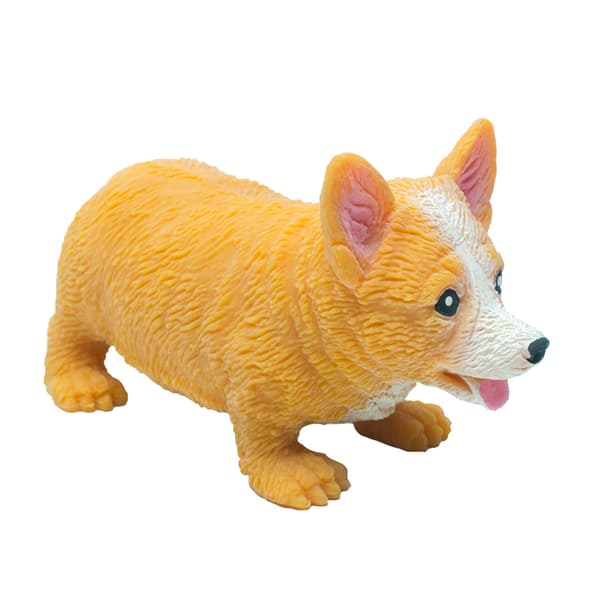 Corgi Lala dekompresjonshund, dekompresjon mops-racket, søt valp
