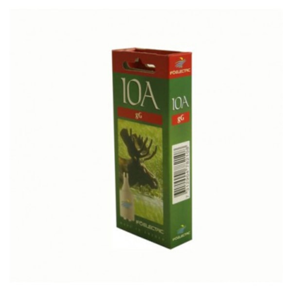 Säkringar 10 amp