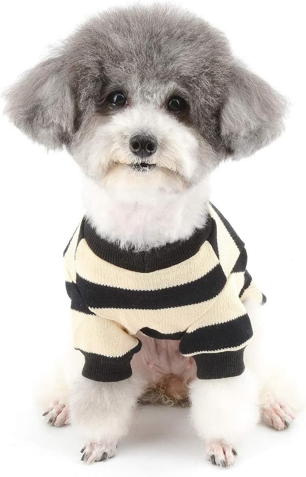 Sweater til små hunde Varm stribet blød bomuld Vinter Sort M