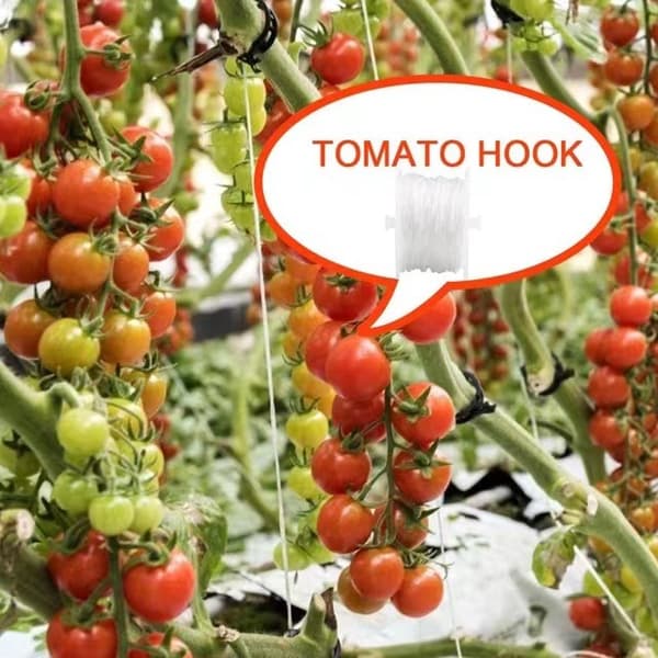 6-pak tomatstøttekroge med 15 m snor, holdbart drivhus-T