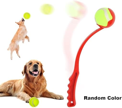 Hundeboldkaster, Hundeboldkaster, Hundetennisboldkaster, D