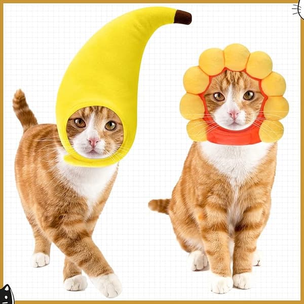 En bananformad katthatt som kan användas för