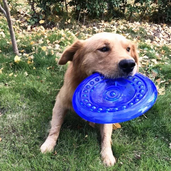 1 stycke stor hund flygande tefat TPR flygande tefat