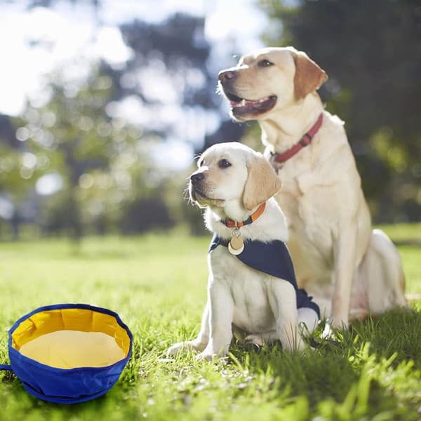 Sammenklappelig bærbar rejseskål til hunde og katte, stor L