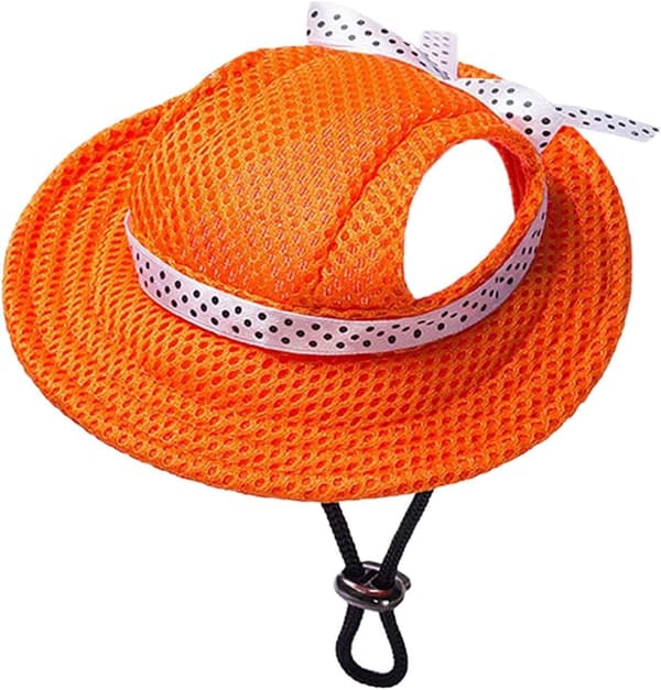 Orange hundesolhat i mesh