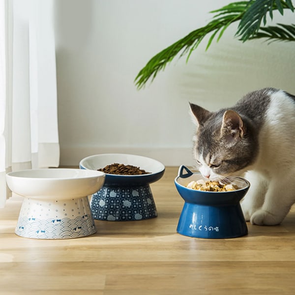 Mönstermönster kattskål keramisk matskål mot att välta flat bowl