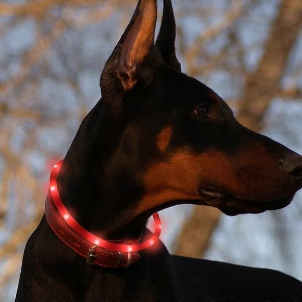Genopladelig USB Genopladelig Hundehalsbånd til S, Medium og , 70 cm, Justerbar længde, 3 Modes Rød