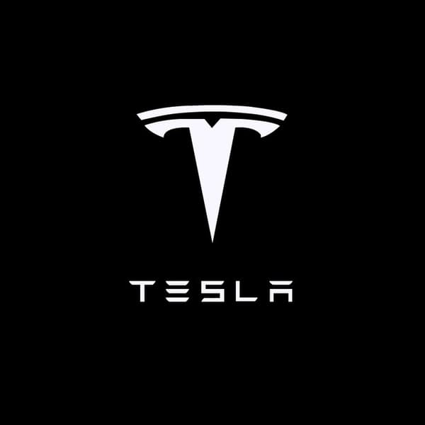 2 st LED dörrlampaprojektorer för TESLA MODEL3 X-modeller