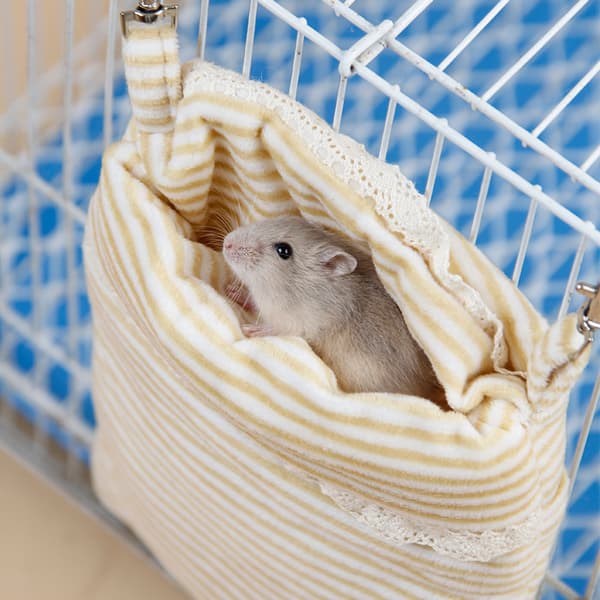 3 hamsterin pesää, hamsterin makuupussia