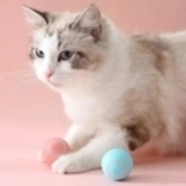 Cat Toy - Aktivering av rörlig boll / Boltrörelser för katt pink Rosa