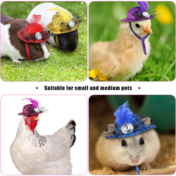 6 st Fashion Chick Hat | Små husdjur Roliga kycklingtillbehör