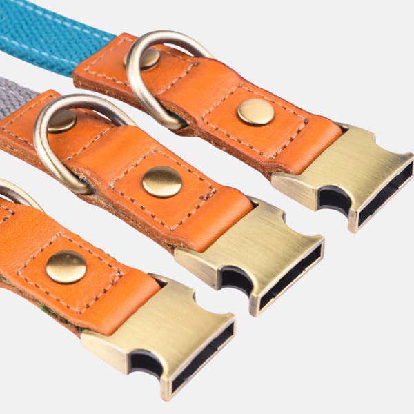Vibrerande i flera färgalternativ - premium hundhalsband i nylon single  collar S 2bfb | single collar S | Fyndiq