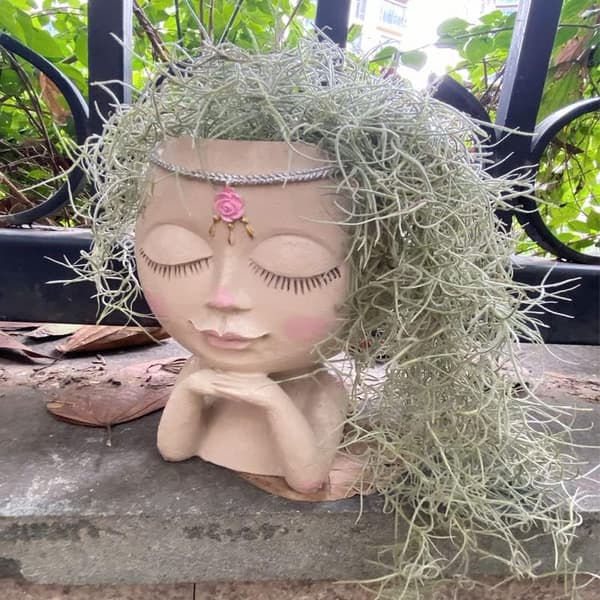 Ansikt Blomsterpotte Hodeplanter Saftig Potteplanter Kaktusplanter