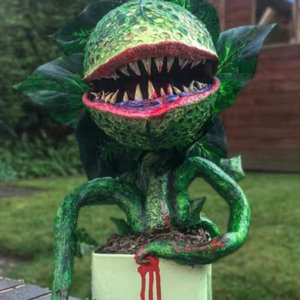 Piranha-kukkatarhan hartsikoriste
