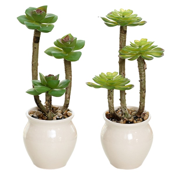 2st simuleringssuckulenter bonsai konstgjorda suckulenter