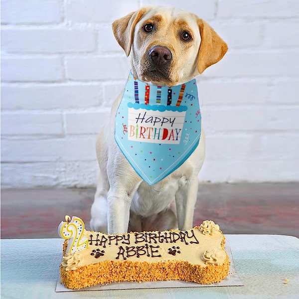 Dog birthday bandana deals