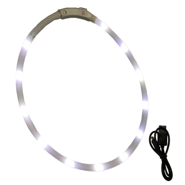 Lysande hundhalsband, LED-hundhalsband USB uppladdningsbart, glödande