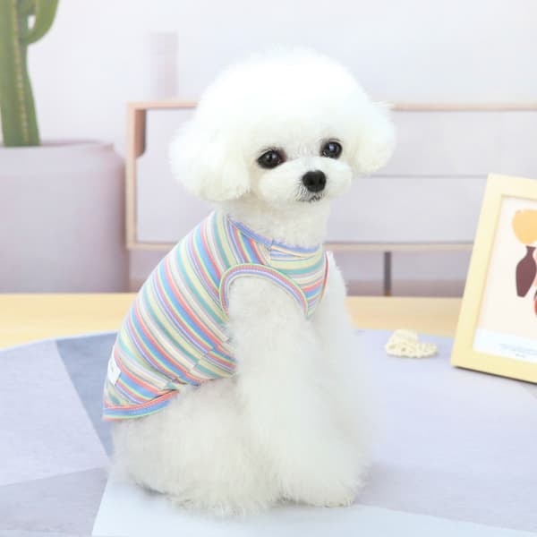 Hundtröja Sommar Hundtröjor för Små M